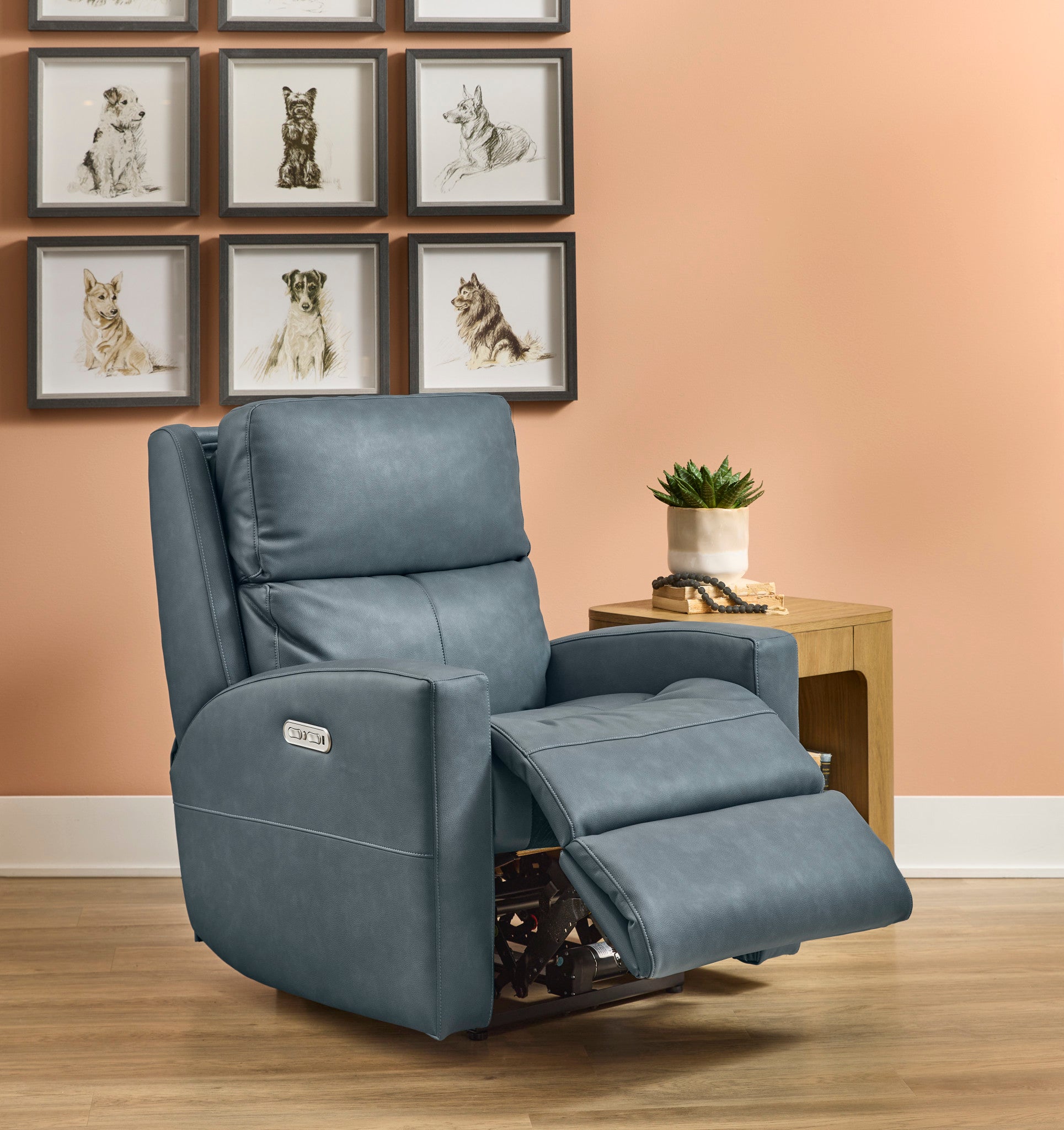 Catalina Leather Power Recliner with Power Headrest