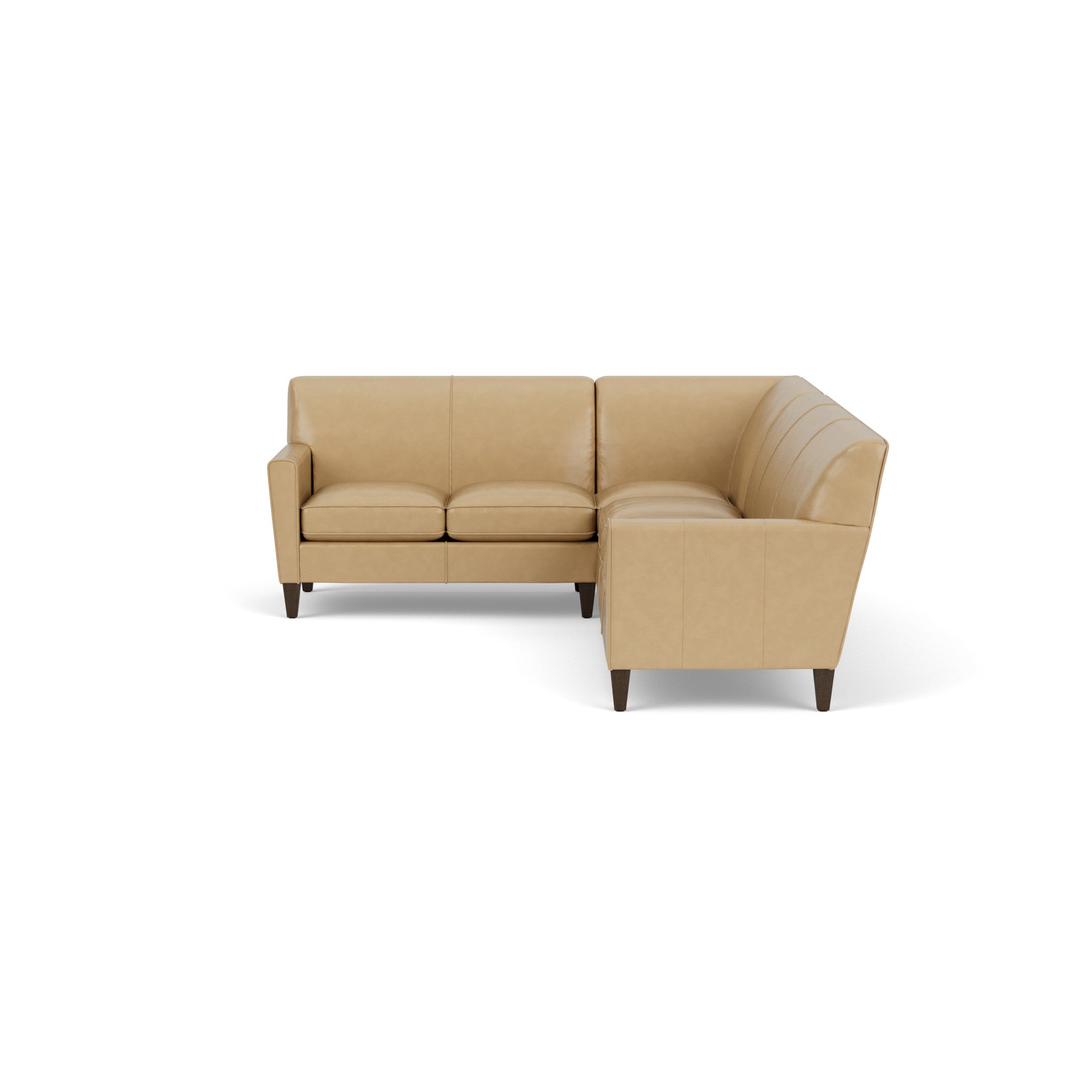 Digby Leather Sectional